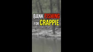 Crappie bank fishing tips for winter [upl. by Adnael]