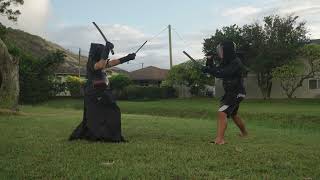 Nitoryu Katana and Wakizashi vs Escrima Dual Sticks [upl. by Placido926]