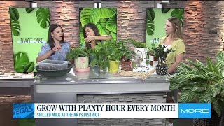 Grow with Planty Hour Every Month [upl. by Eilrak]