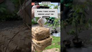 Bungkusan Tradisional Ini Bikin Turis Heboh‼️ Bule reaksibule buleriview shorts viralvideo [upl. by Adamson]