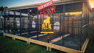 The Outdoor Dog Kennel Setup that Just Keeps Getting Better The Build and Setup  North Carolina [upl. by Kanal654]