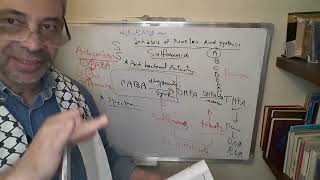 Module 310  Lecture 35 part 3 Sulfonamides cont amp Cotrimoxazole [upl. by Brit]