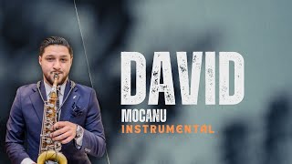 David Mocanu  INSTRUMENTAL 2024  AUDIO [upl. by Frick]