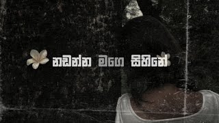 Nadanna Mage Sihine නාඩන්න මගේ සිහිනේ  slowedreverb 8D Music [upl. by Loni]