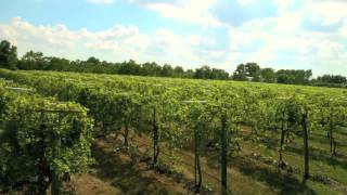 Haak Vineyards amp Winery Texas Commercial 3 minutes 2012 [upl. by Htiduj]