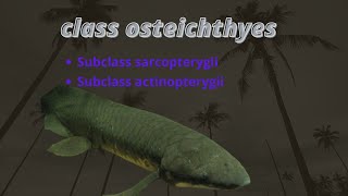 Class Osteichthyes sub class sarcopterygii and subclass actinopterygii [upl. by Nosiaj749]