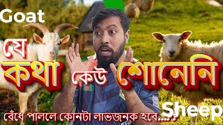 ছাগল না ভেড়া কোনটা পালা সুবিধাজনক  Goat vs Sheep 10 Surprising Diet Differences Explained [upl. by Nylhsa]