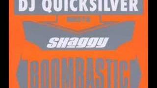 Dj Quicksilver Meets Shaggy  Boombastic Epic Mix [upl. by Sheeb]