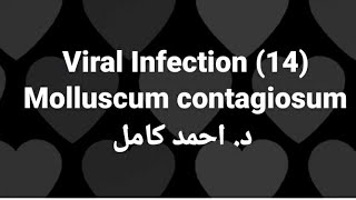 14 Molluscum Contagiosum 👉Viral Infection by Dr Ahmed Kamel [upl. by Ahtabbat]