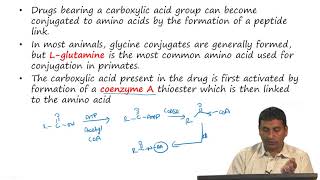 Drug Metabolism PartIV [upl. by Suhsoj]