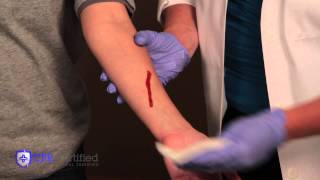 How to Stop Bleeding and Apply Bandages [upl. by Crowe]