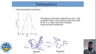 Calorimetria diferencial de varredura DSC [upl. by Sorgalim225]