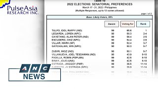 Survey 14 out of 64 senatorial candidates have statistical chance of winning  ANC [upl. by Aisetal]