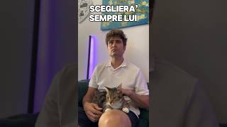 GATTI 😅 casaabis coppia humor risate videodivertenti gatti coppiafamosa [upl. by Kelli]