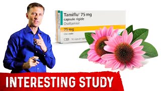 Echinacea is as Effective as Tamiflu for the Flu [upl. by Wales853]