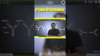 Types Of Antibodies 🦠🦠 shorts biology facts [upl. by Rennug]