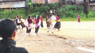 Limbu DanceSekmuri fulyo niChildren DayHimalayan Secondary English Boarding School [upl. by Curcio530]