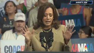 Alastair Crooke KamalaHarris addresses protesters at rally Does it matter [upl. by Hildebrandt]