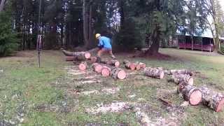 Crosscut Saw Firewood [upl. by Bannerman]