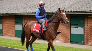 Epsom Gallops Morning clues ahead of the 2023 Betfred Derby  Racing TV [upl. by Carbrey]