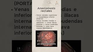 Anastomosis portocava [upl. by Kilam137]