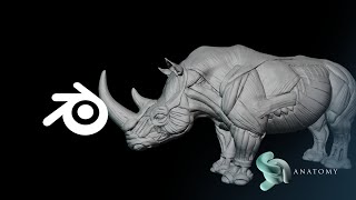 Rhino Anatomy In Blender Part 2 [upl. by Oramug]