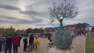 Un albero per ogni nuovo nato [upl. by Fielding]