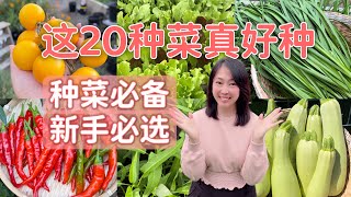 【种植77】20种好种容易种的蔬菜  每种菜的种植诀窍，新手必看，干货分享 20 easy growing vegetables and tips for home garden beginner [upl. by Mirth525]