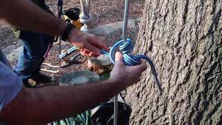 Tree Climbing Knots  Blakes Hitch on a Split Tail [upl. by Sivrep]