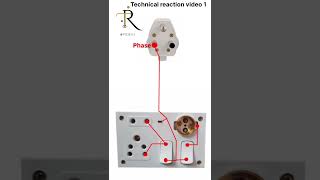 5 module board wiring 👍 electrical electritian homeimprovement electrian homewiring automobile [upl. by Arvo502]