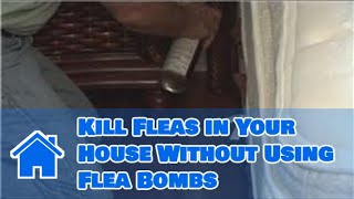 Home Pest Control  How to Kill Fleas in Your House Without Using Flea Bombs [upl. by Mir]