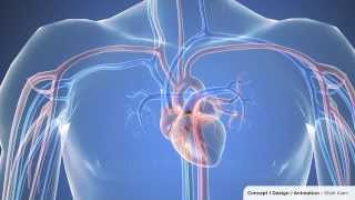 Cardiac catheterization  3D Animation 1080p [upl. by Udenihc]