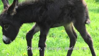 The Donkey A Poem by GK Chesterton [upl. by Nagud]