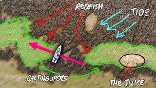 how to FIND and catch REDFISH EASILY  inshore saltwater fishing [upl. by Levi]