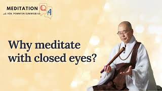 Meditation QampA Why meditate with closed eyes [upl. by Ttenaej684]