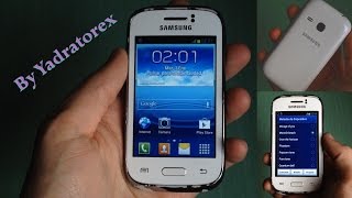 Samsung Galaxy Young  Ringtones Wallpapers etc  Quick Review [upl. by Einor635]