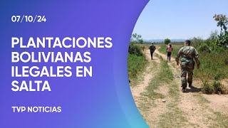 Detectan plantaciones bolivianas ilegales en Salta [upl. by Matuag]