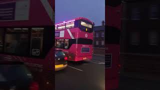 Translink Metro 3651 AVI 1351  Route 1g  Clifton House Belfast  Wright Streetdeck Electroliner [upl. by Harrington]