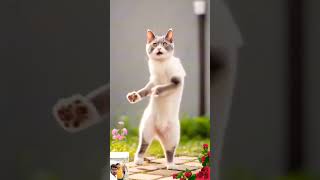 billi ka super khatarnak dance comedy automobile love funny atm duet comed ilovesurat song [upl. by Elonore319]