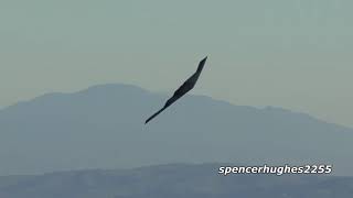 B2 Spirit Stealth Bomber  Liberators  Epic Score [upl. by Laurens]