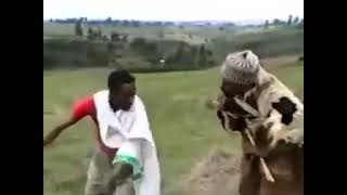 Ethiopian Comedy Kibebew Geda [upl. by Hauser]