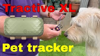 Shock Collar No  its Tractive Tracker [upl. by Airrej798]