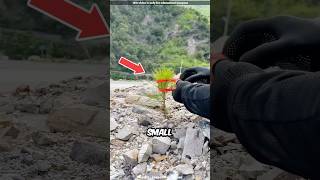 Rescuing a Tiny Roadside Plant 😍 [upl. by Ecinereb]