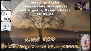 Mond TIPP für die Gesundheit  Erkältungsviren aussperren [upl. by Ahsemo]