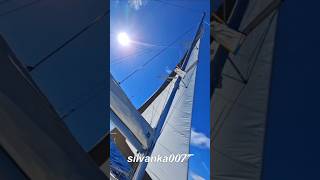 CATAMARAN SAILING BOAT RENTAL AEGEAN SEA SARONIC ISLANDS GREECE TikTok Trending Shorts sailing wow [upl. by Relda354]