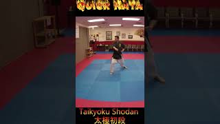 Kata Tutorial Taikyoku Shodan karate karatekata taikyokushodan [upl. by Newlin39]