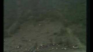 1981 Welsh Rallysprint Part 1 [upl. by Gerita]