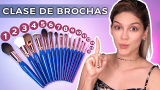 KIT BÁSICO DE BROCHAS PARA PROFESIONALES DEL MAQUILLAJE [upl. by Eelegna]