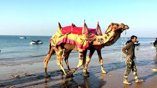 Kutch Nahi Dekha Toh Kuch Nahi Dekha  Places to visit in Kutch Gujarat India [upl. by Ynnelg]