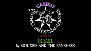 Siouxsie and The Banshees  Israel  Karaoke Instrumental w Lyrics  Caritas Goth Karaoke [upl. by Urion]